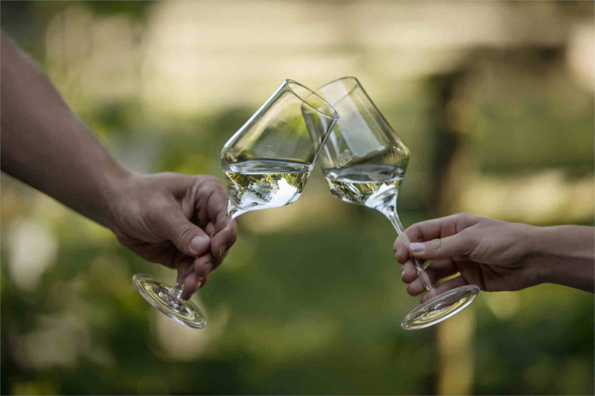 Weinliebhaber:innen stoßen auf die Weine der Steiermark an.© Flora P.