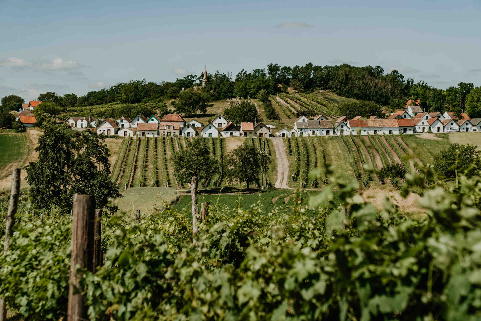 Weinviertel DAC verlängert die Kellergasse in die Nähe der Genießer:innen © 1000things / Katharina Tesch