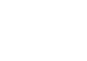 The Palm Shack Logo