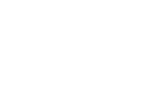 Logo Greisslerin