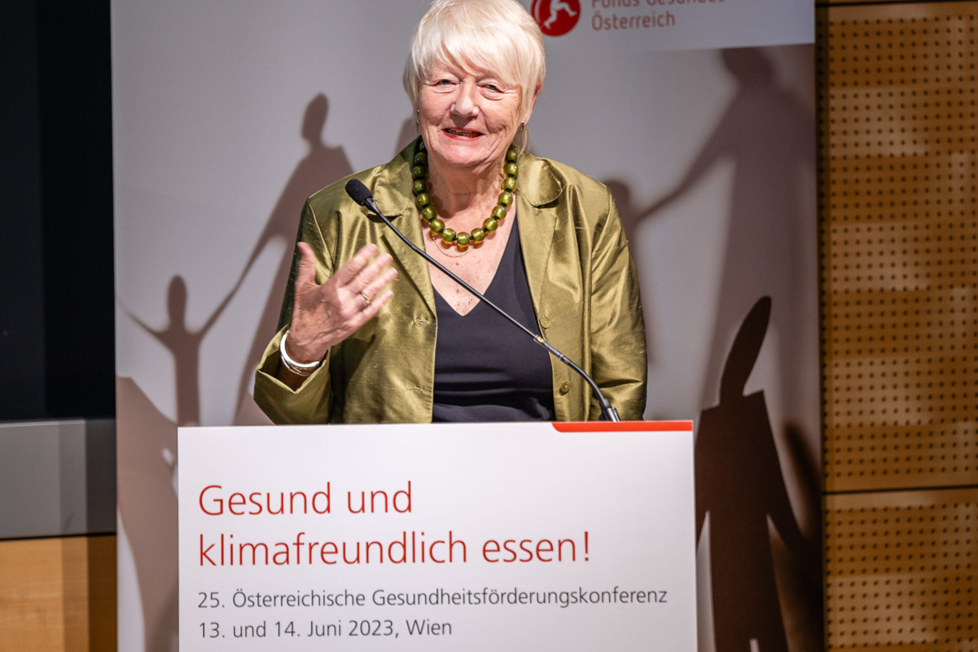 Frau Ilona Kickbusch, Professorin der Uni Genf und Leiterin des Digital Health Transformation Labs gab Input zum Thema Interconnectivity – Bausteine für ein neues Verständnis der Gesundheitspolitik. © Klaus Ranger / FGÖ 