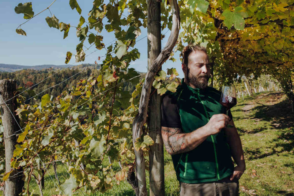 Am Weingut Machater wird das Festival stattfinden. © Weingut Machater