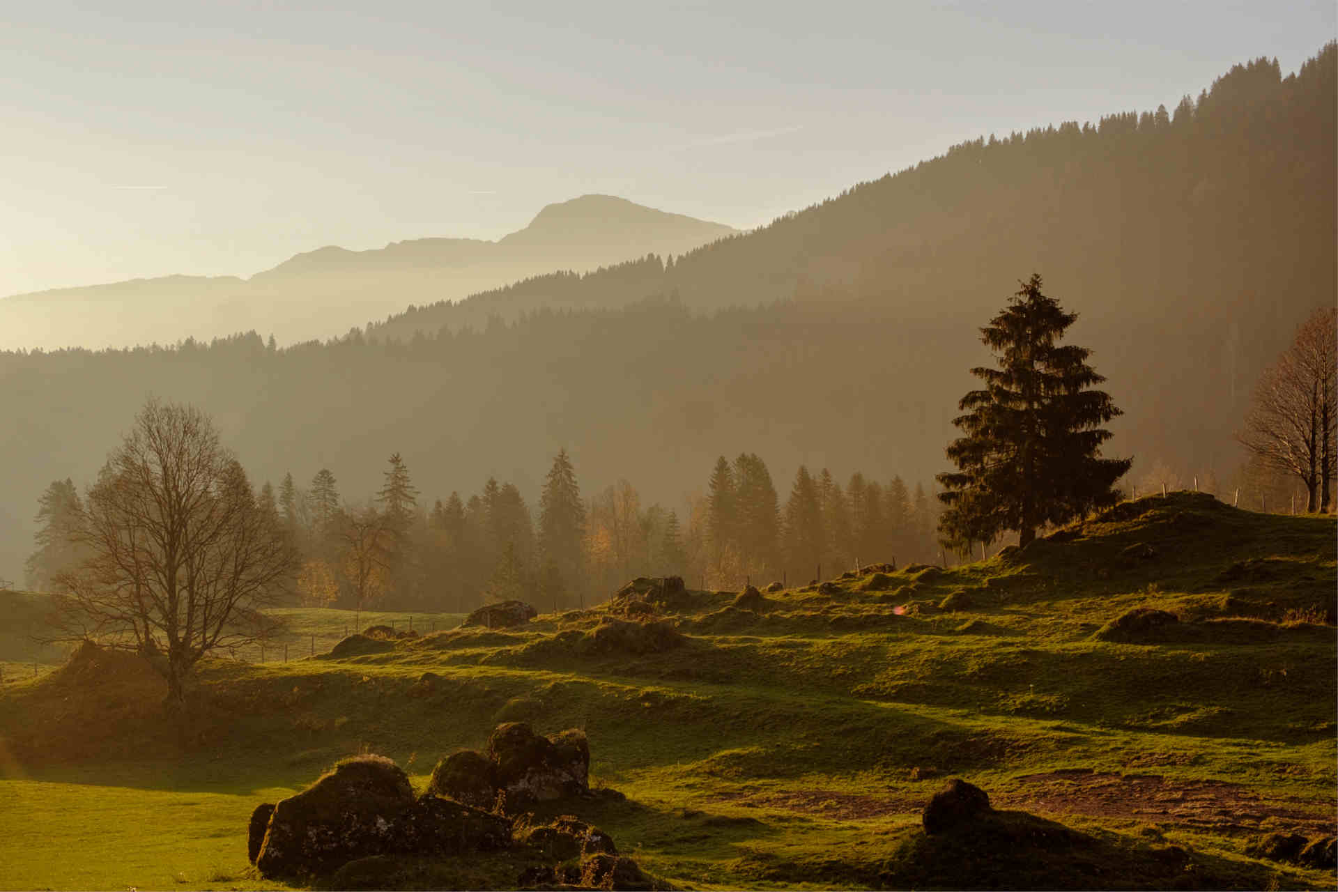 Die Zusammenarbeit geschieht mit heimischen, familiär geführten und kleinstrukturierten Landwirt:innen. © Kröswang