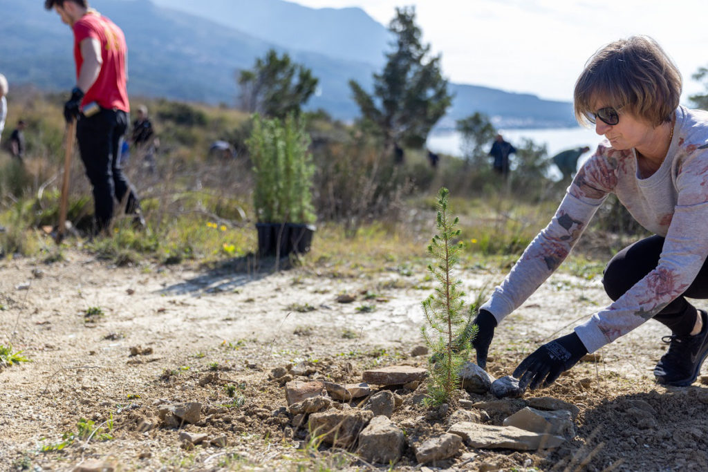 Im Urlaub kann auch Gutes für die Umwelt getan werden. © Valamar / Roman Avdagić