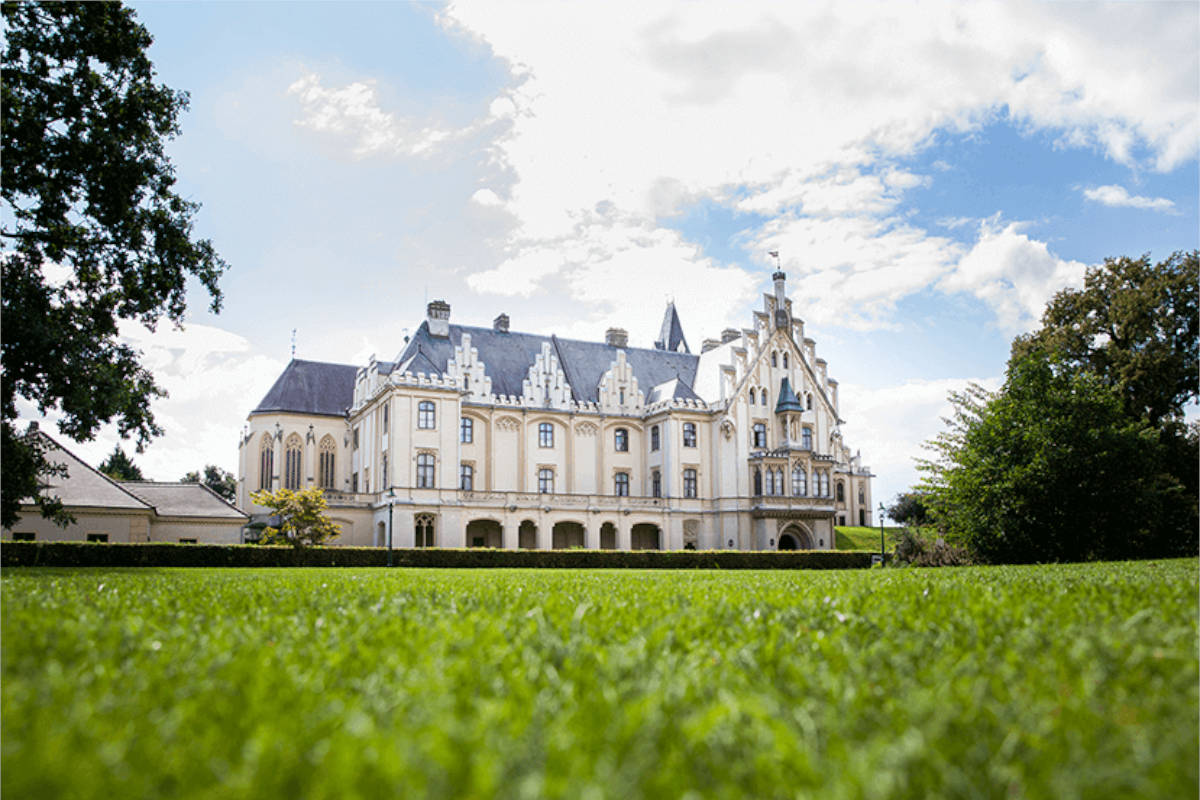 Anfang September wird der Schlosspark zur Picknickwiese. © Sebastian Philipp