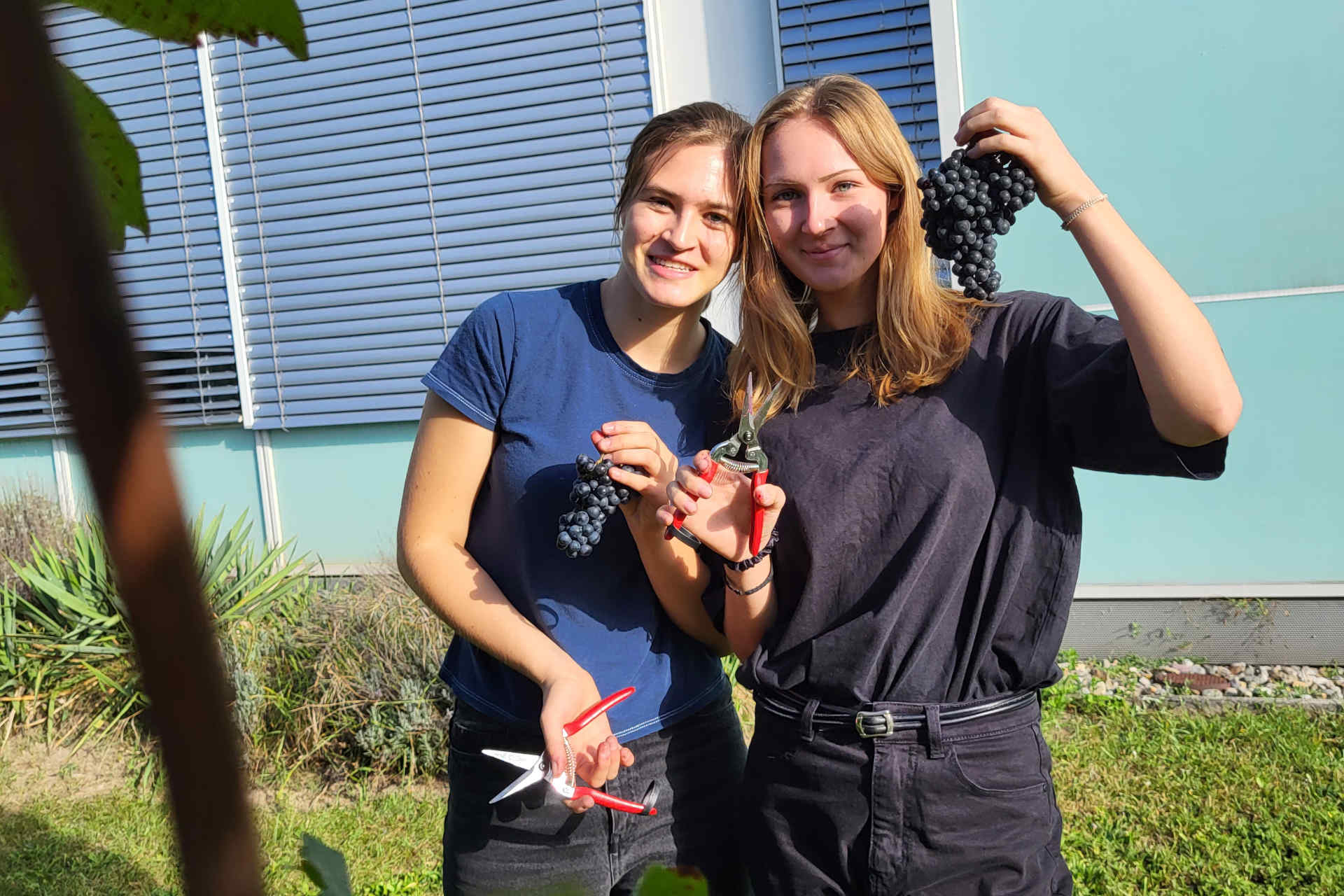 Die Schüler:innen begleiteten den Prozess der Weinherstellung. © KTS Villach