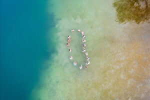 Einige der Teilnehmer:innen wagten ein Eisbad im Wörthersee. © Moving Stills