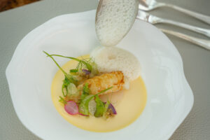 Neuseeländer Kaisergranat auf Chawanmushi mit Puntarelle und Holunder. © Beyond Digitalagentur GmbH/LifelikePR