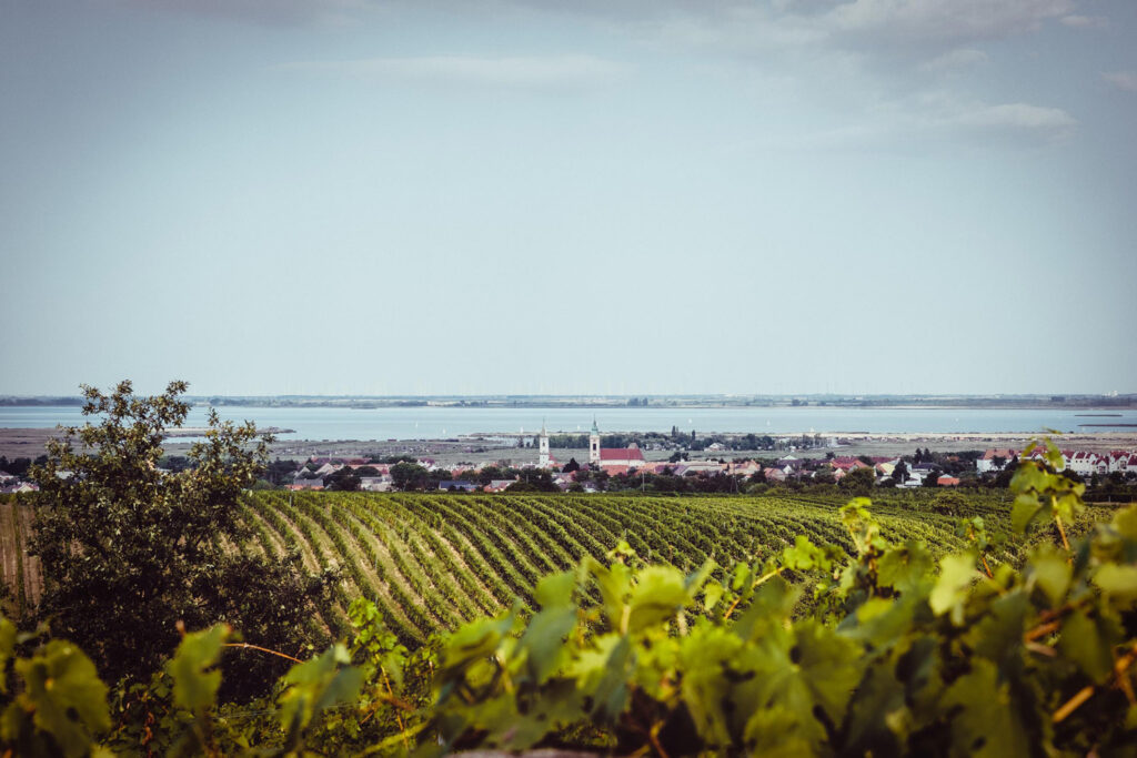 Panoramablick auf Rust © Steve Haider