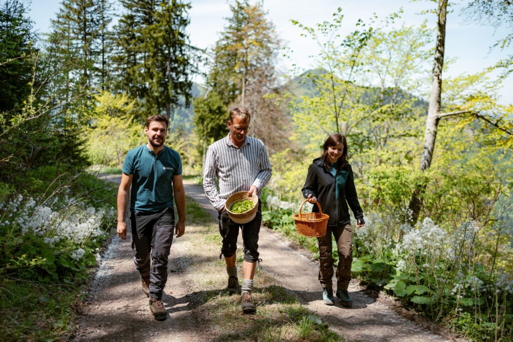 v.l. Revierleiter Thomas Lassacher, Braumeister Axel Kiesbye und Palmira Deissenberger (Betriebsleiter-Stv. ÖBf-Forstbetrieb Flachgau-Tennengau) bei der Ernte der Zutaten im ÖBf-Forstrevier Faistenau in Salzburg