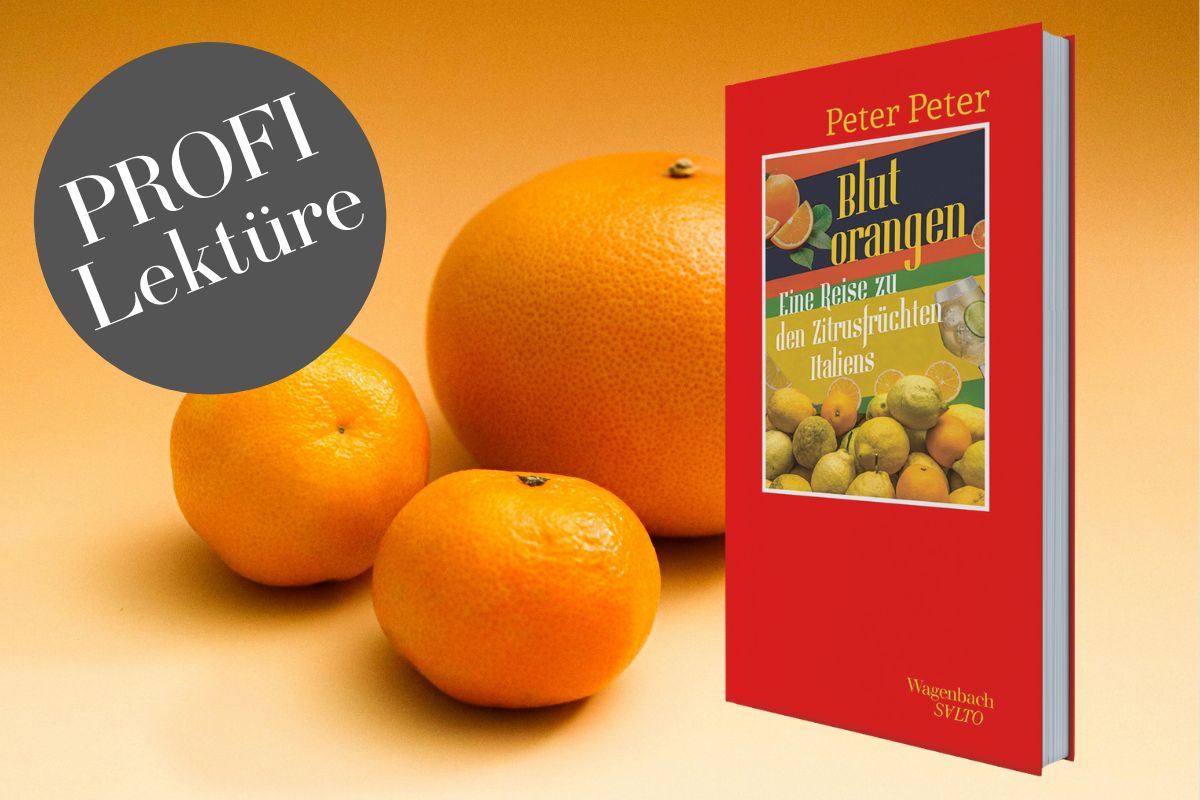 Buch Blutorangen von Peter Peter - Falstaff PROFI