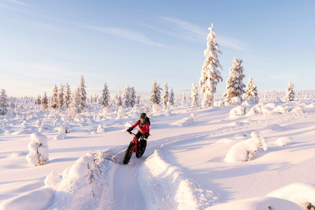 Wintersaison Trends 2026 - Falstaff PROFI