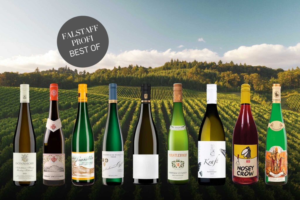Best of Leichtweine 2025 - Falstaff PROFI