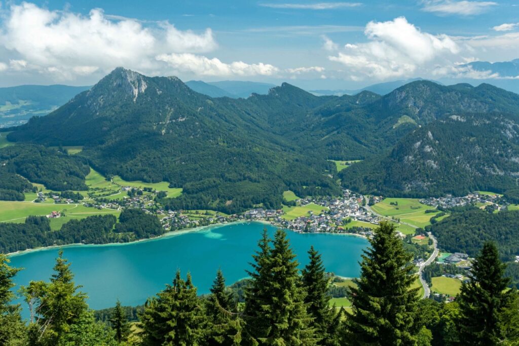 Fuschlsee - Falstaff PROFI